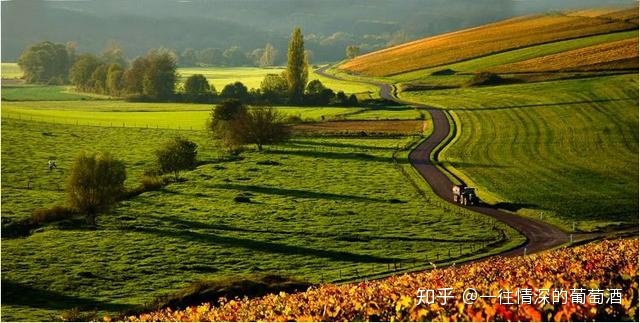 法国中级酒庄品牌_法国中级酒庄排名_法国中级酒庄 分级