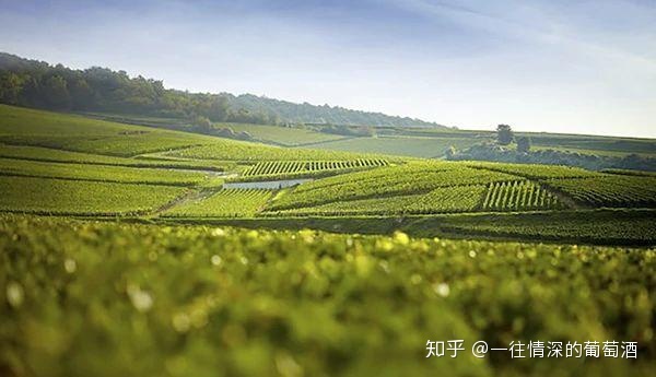 法国中级酒庄 分级_法国中级酒庄排名_法国中级酒庄品牌