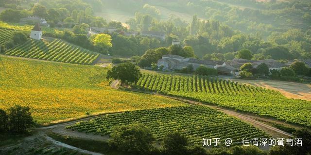 法国中级酒庄品牌_法国中级酒庄 分级_法国中级酒庄排名