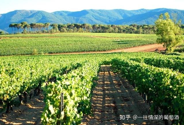 法国中级酒庄排名_法国中级酒庄 分级_法国中级酒庄品牌