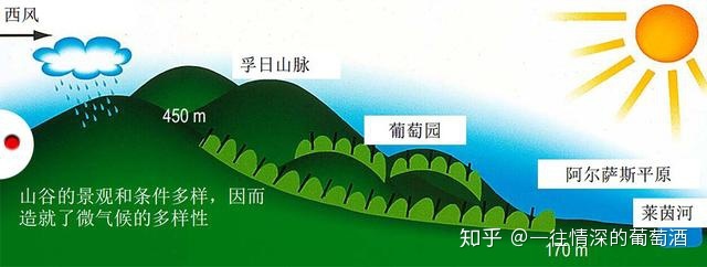 法国中级酒庄品牌_法国中级酒庄 分级_法国中级酒庄排名