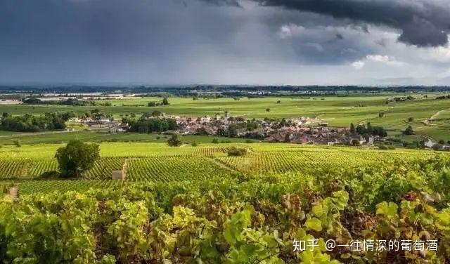 法国中级酒庄排名_法国中级酒庄品牌_法国中级酒庄 分级