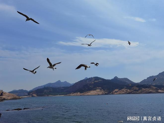 博物馆藏品管理_安徽省文化博物园_张裕酒文化博物馆实践报告