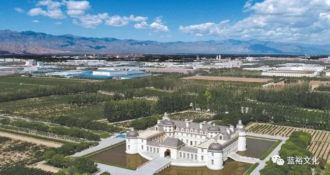 葡萄酒文化文化论文_彭祖文化葡萄圈子_葡萄酒文化推广