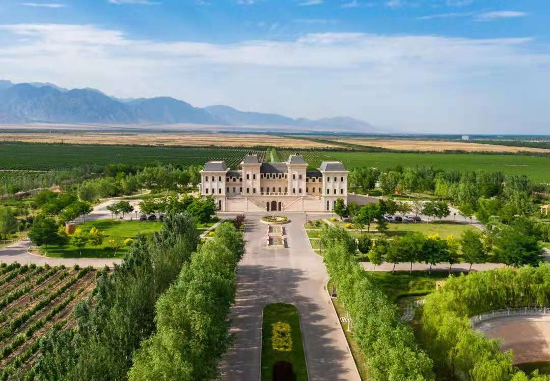 葡萄酒文化文化论文_彭祖文化葡萄圈子_葡萄酒文化推广