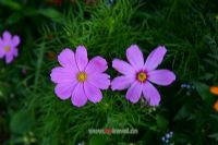 安徽省文化博物园_参观南通中医药文化博物馆前准备_义聚永酒文化博物馆