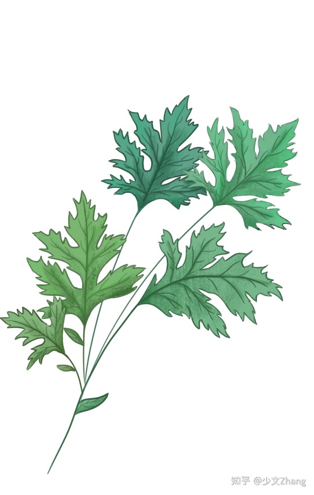 论中国精神思修论文_中国葡萄酒文化论文_论中国葡萄酒文化论文