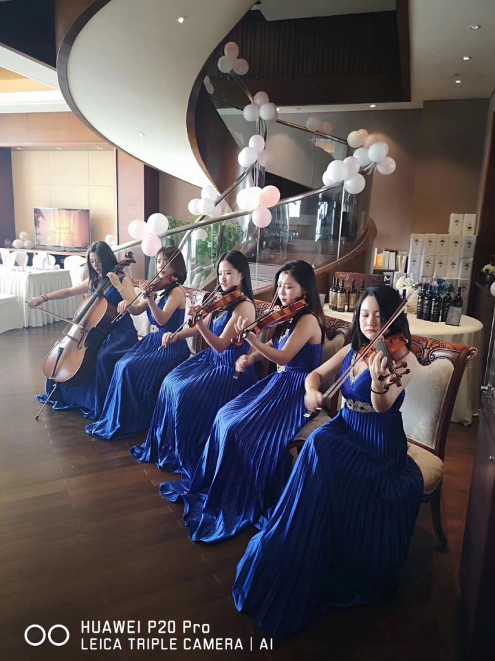 中国画论修养论论文_论中国葡萄酒文化论文_中国画论功能论论文