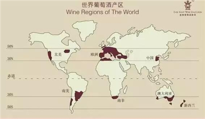 葡萄酒文化的特点_红玖瑰葡萄特点_宾川葡萄文化旅游节