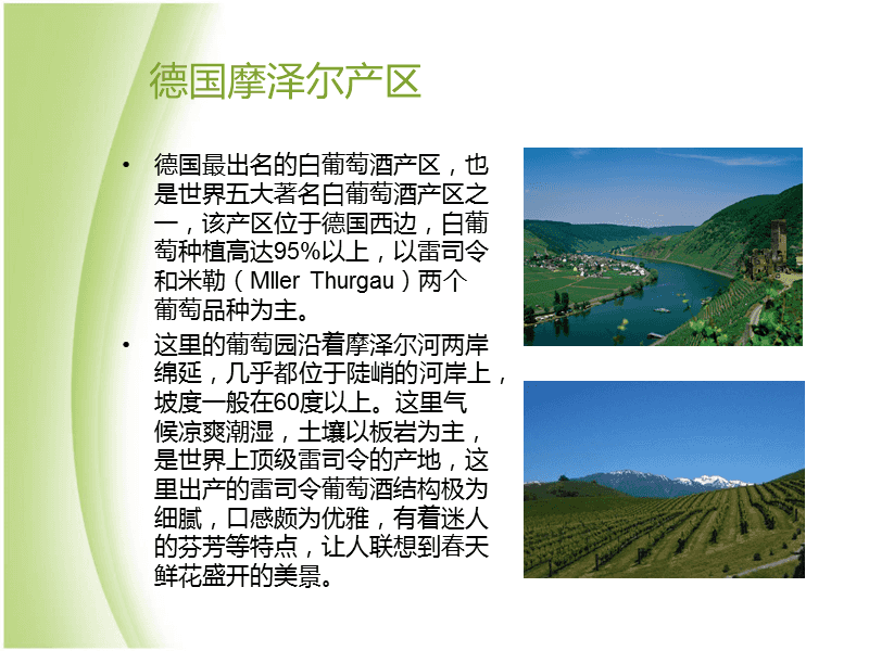 葡萄酒文化的特点_宾川葡萄文化旅游节_红玖瑰葡萄特点