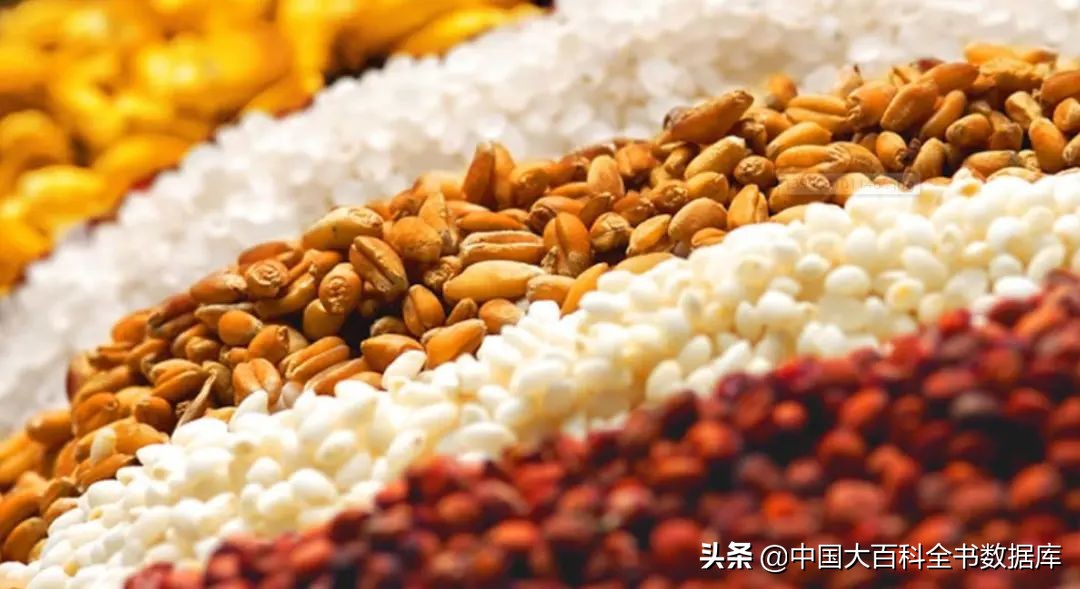白酒浓香型和酱香型哪个比较好