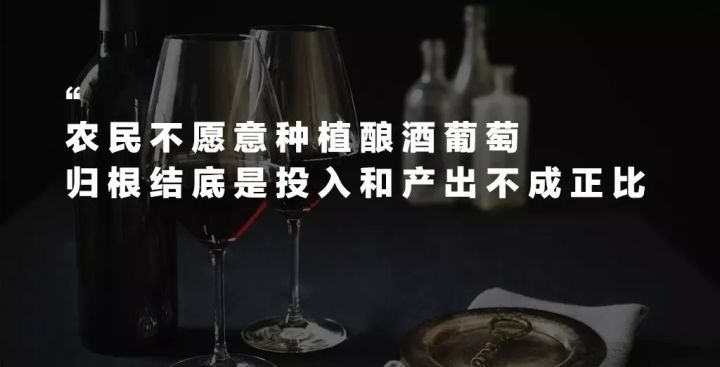 泸州长窖酒业茶缸酒_华夏酒报报道安丘春开窖酒业公司报道_贵州金窖酒业酒价格表