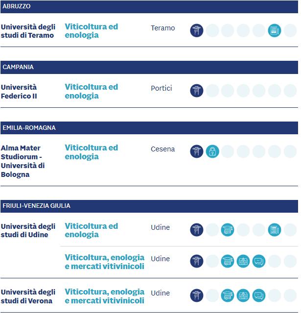 意大利葡萄酒好年份_意大利葡萄酒文化_意大利赤霞珠葡萄品种酿酒可以给doc吗