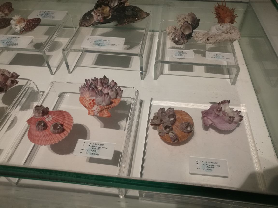 上海木文化博物馆里的作品_蜀人作酒道馆原浆酒_大连酒文化博物馆