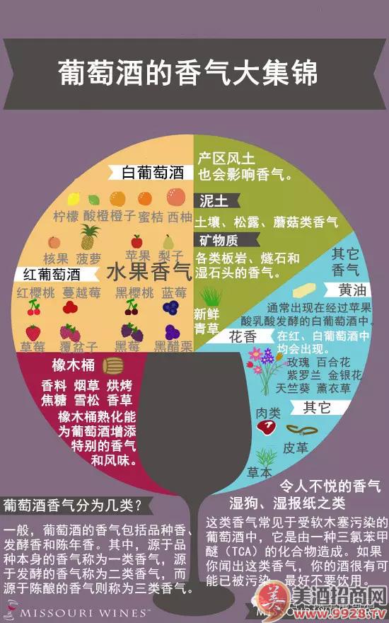 意大利西北部葡萄产区_意大利葡萄酒文化_意大利葡萄酒文化