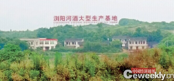 浏阳河酒业彭潮_浏阳河酒业彭潮_黔河酒业公司酒都网签约