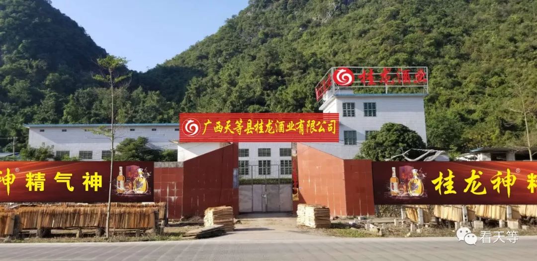 酒品牌有哪些_大梁酒庄品牌酒_现在哪些酒品牌有曲酒