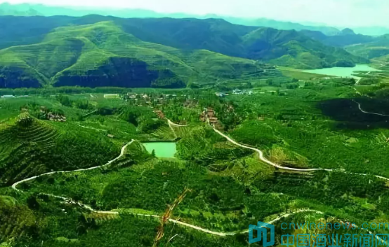 华夏酒报报道安丘春开窖酒业公司报道_四川九香春酒业筒子酒_湘窖酒业内标酒