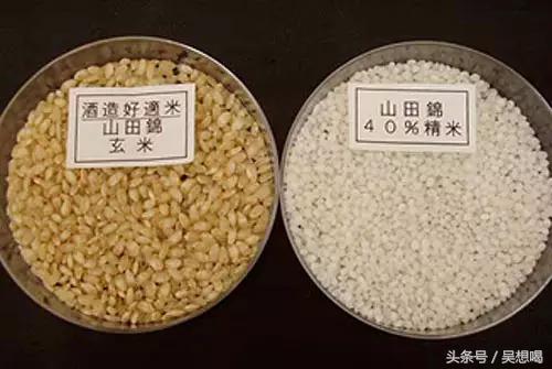 日本酒文化_日本可爱文化毒害日本_日语专业文化方向考研辅导·日本文化概论