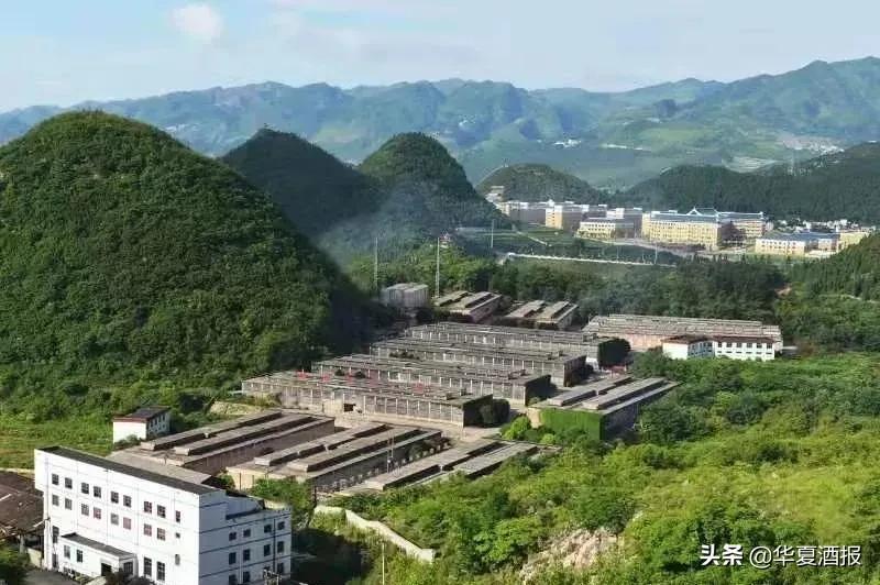 华夏酒报报道安丘春开窖酒业公司报道_泸州长窖酒业文艺酒_湘窖酒业内标酒多少钱一瓶