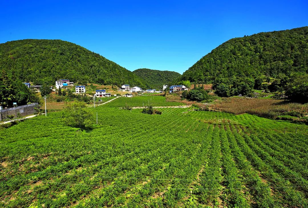 蓬莱长岛,张裕酒文化博物馆,养马岛自驾线路_蓬莱长岛,张裕酒文化博物馆,养马岛自驾线路_蓬莱长岛旅游价格查询