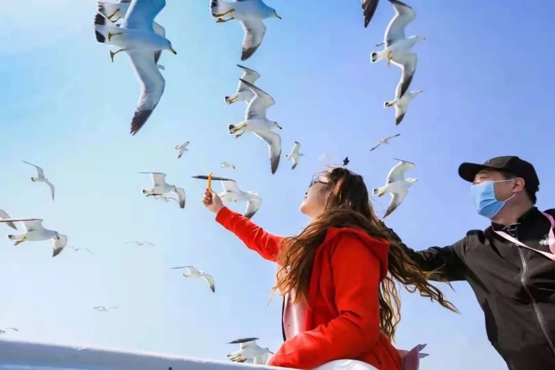 蓬莱长岛,张裕酒文化博物馆,养马岛自驾线路_蓬莱长岛,张裕酒文化博物馆,养马岛自驾线路_蓬莱长岛旅游价格查询