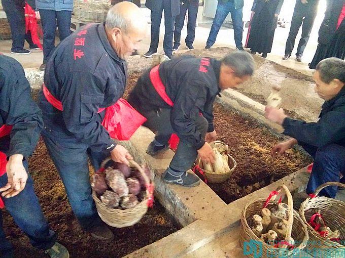 华夏酒报报道安丘春开窖酒业公司报道_泸州长窖酒业文艺酒_邵阳湘窖酒业有哪些酒