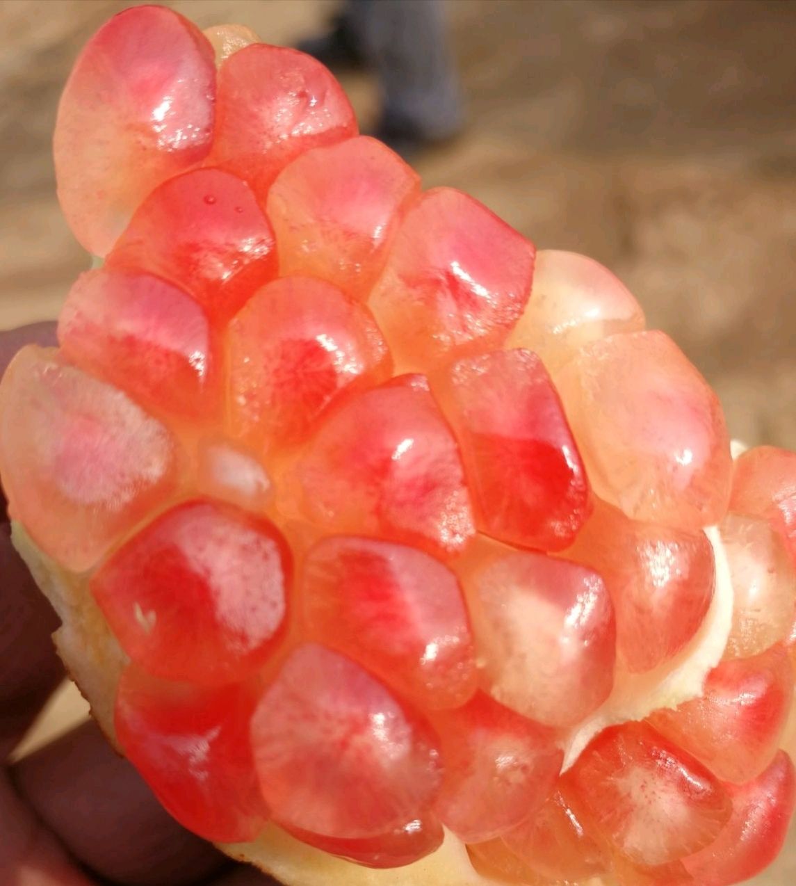 酒泡石榴的功效_石榴酒做法_石榴酒品牌