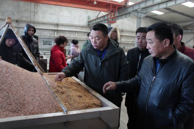 内蒙古科尔沁王酒业品牌酒是什么_科尔沁王酒_科尔沁王酒价格表查询