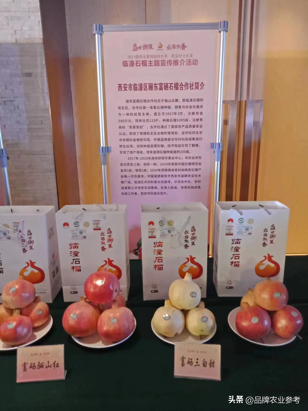 酒红色石榴石的功效与作用_石榴酒品牌_安徽 石榴酒