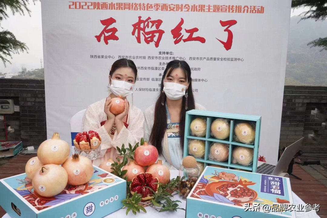 石榴酒品牌_酒红色石榴石的功效与作用_安徽 石榴酒