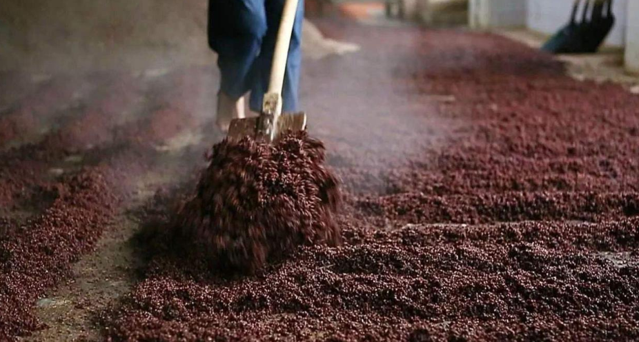 杂醇油 白酒 标准_白酒塑化剂残留标准_杂醇油的危害