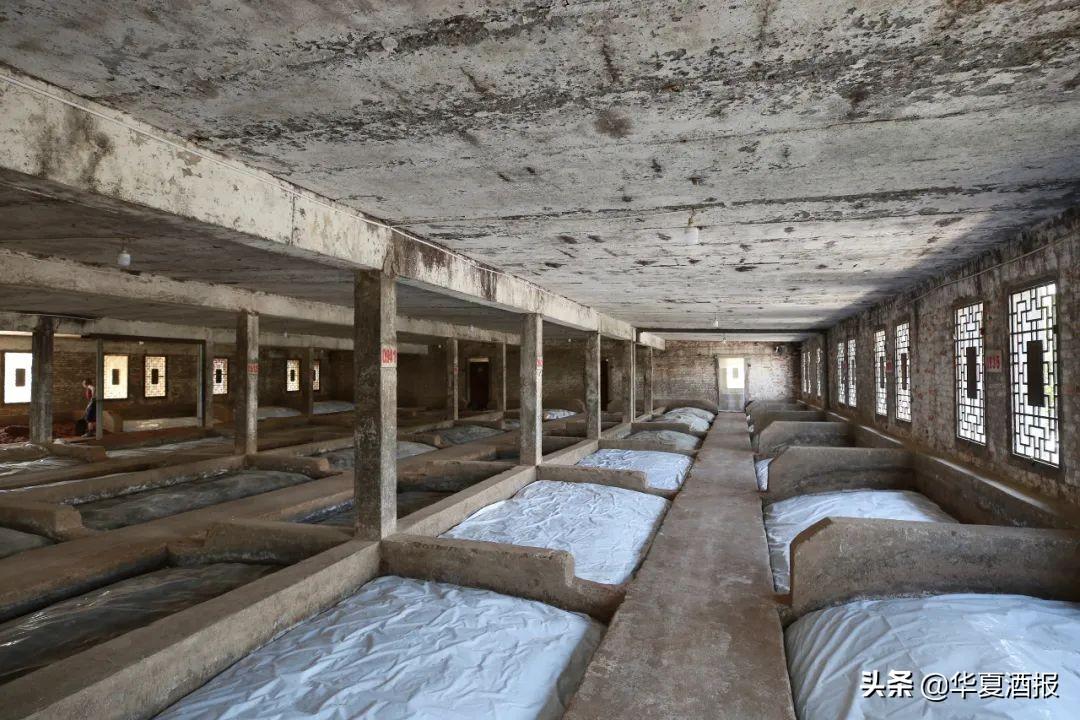 江苏双沟酒业股份有限公司柔和双沟_双沟醉沟酒业_双沟酒业集团公司