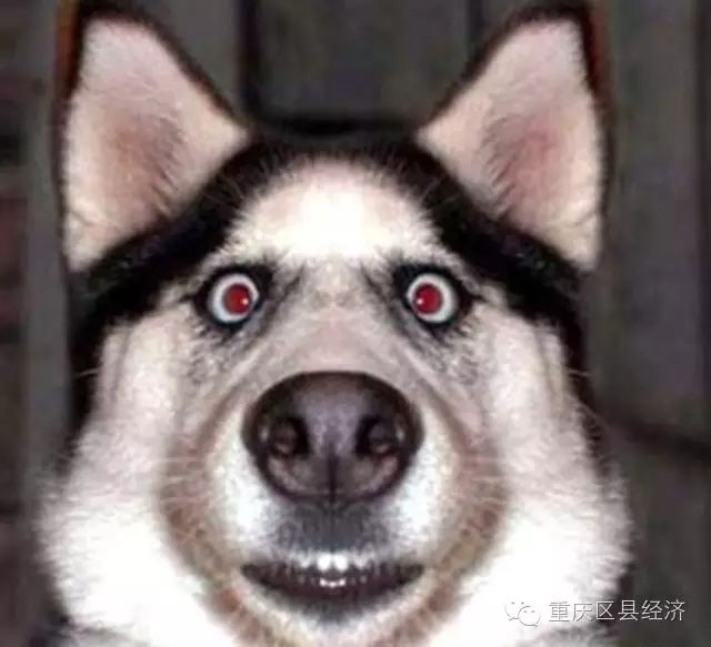 白酒氰化物标准_馥郁香型白酒标准_杂醇油 白酒 标准