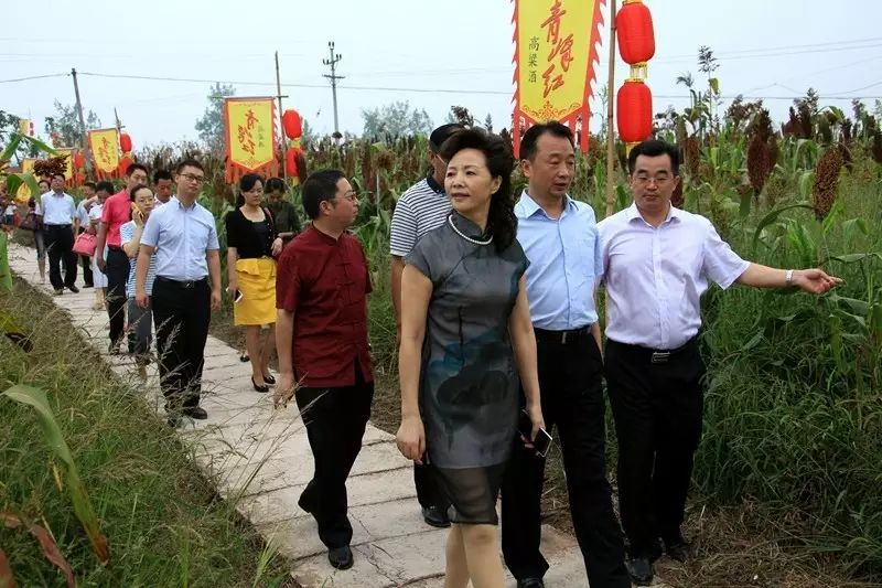 办公室文化展板_酒文化展板_企业会议室文化展板图片