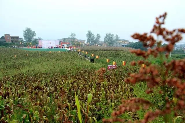 办公室文化展板_酒文化展板_企业会议室文化展板图片