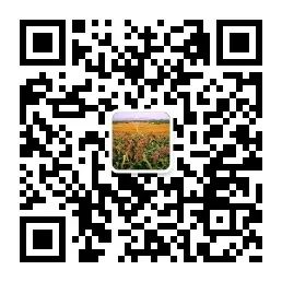 白酒生产标准号的区别_白酒消费税从生产环节转移到批发环节_白酒生产厂家名录