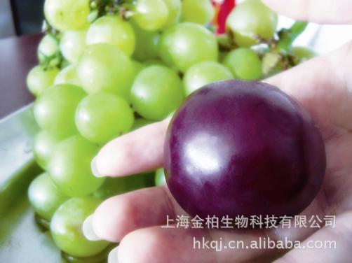 木桐酒庄_木桐酒庄旗下品牌_木桐酒庄 设计