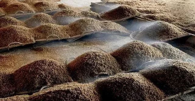 杂醇油的去除_白酒杂醇油标准_白酒中杂醇油的测定