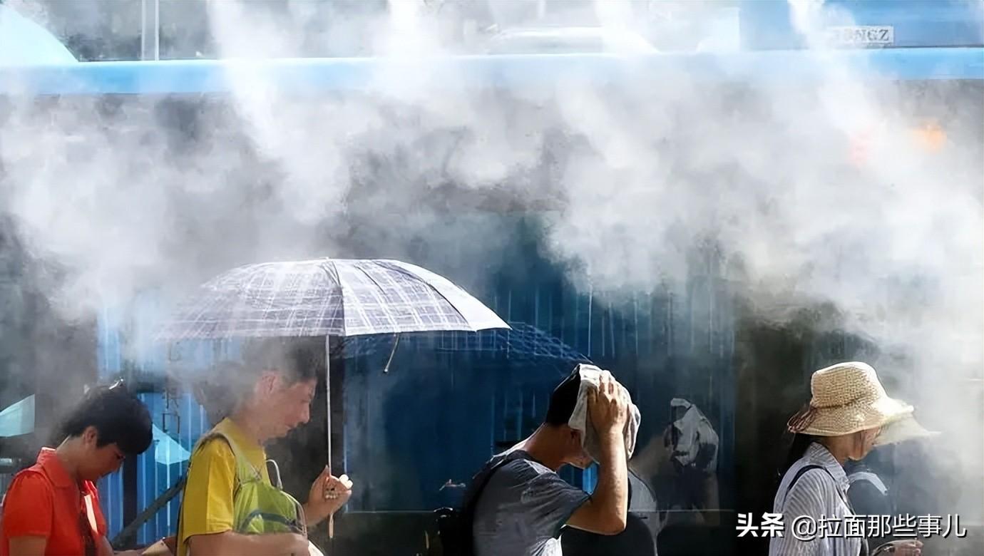 白酒杂醇油标准_杂醇油的去除_白酒标签标准