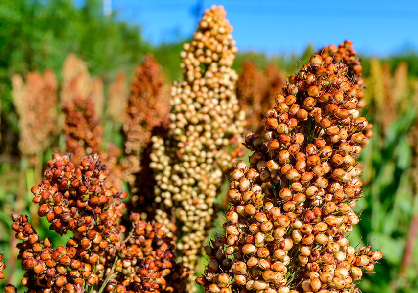 合肥盈尊酒业有限公司_天之尊酒业_北京京尊酒业有限公司