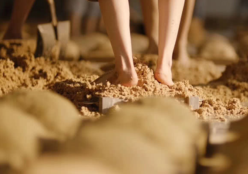 天之尊酒业_合肥盈尊酒业有限公司_北京京尊酒业有限公司