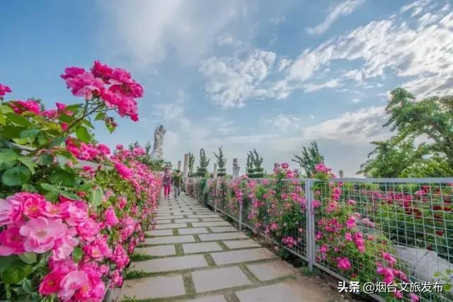 张裕酒庄团购_张裕酒文化博物馆门票团购_咸阳张裕瑞纳酒庄门票