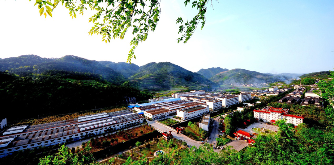 酒鬼馥郁香型白酒52度_馥郁香型白酒标准_湘泉酒52度馥郁香白酒价格