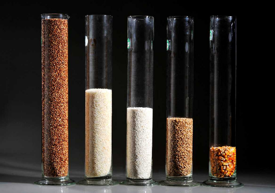 五粮液百年富贵酒礼盒_茅台富贵万年酒礼盒版_五粮液保健酒公司荣华富贵酒礼盒