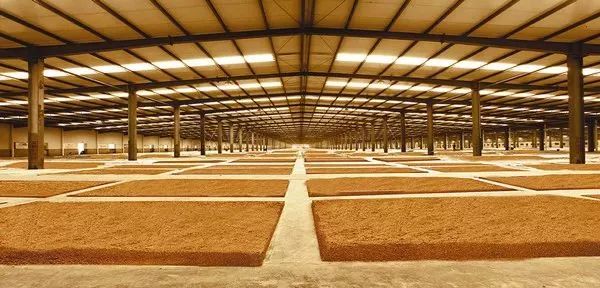 酒文化历史_河南三门峡发展水平 经济 历史 文化_间谍历史阴影下的神秘职业与\\幕后\\文化